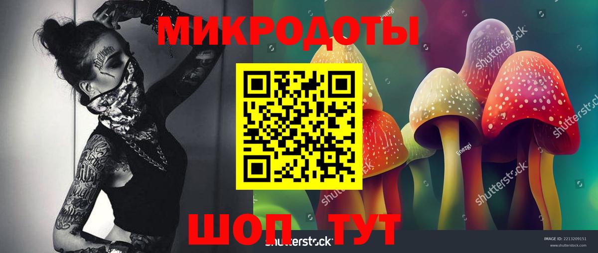 Галлюциногенные грибы Psilocybe Азов